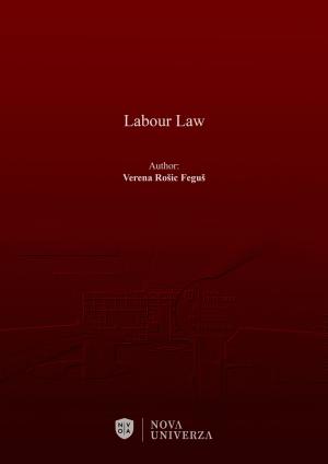 Script for Labour Law